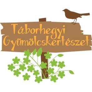 13920868_152800835152812_3452314547485692360_n